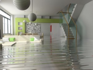 Reasons for purchasing flood insurance