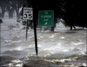 Flood insurance basics