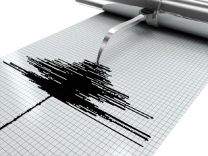 property and casualty insurance and damage claims from tsunamis and earthquakes