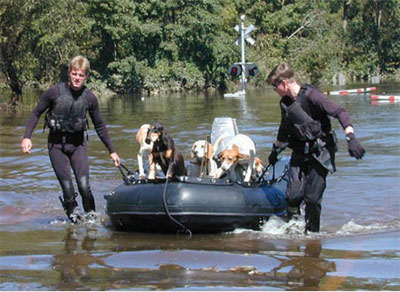 Remember To Include Your Pets In Your Evacuation And Disaster Planning