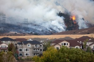 homeowners insurance and forest fire costs