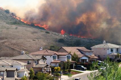 Adjusters offer advice on recovering from wildfires