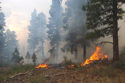 Wildfire threat remains high, prevention key to surviving it