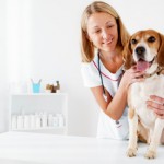 Check for pre-existing conditions in petcare