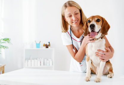 Consider pre-existing conditions when purchasing pet insurance