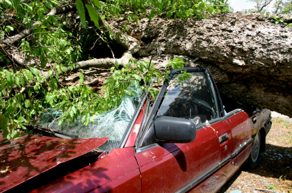 Trees and debris cause major damage during tornadoes