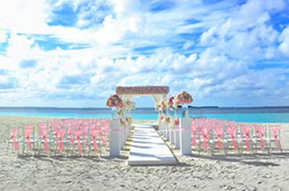 Click here to Wedding Cancellation quotes